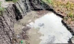 হাতিয়া ও কবিরহাট উপজেলায় পানিতে ডুবে চার শিশুর মৃত্যু