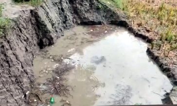 হাতিয়া ও কবিরহাট উপজেলায় পানিতে ডুবে চার শিশুর মৃত্যু