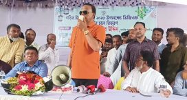 আমাদের সমস্যা বিচারের দীর্ঘসূত্রিতা : ব্যারিস্টার খোকন