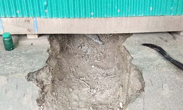 সুবর্ণচরে সিঁধ কেটে ঘরে ডুকে দুর্ধর্ষ চুরি