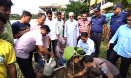 জিয়াউর রহমানের কাজ গুলো প্রধানমন্ত্রী করছেন : ভাইস চেয়ারম্যান বুলু
