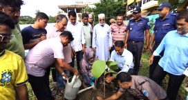 জিয়াউর রহমানের কাজ গুলো প্রধানমন্ত্রী করছেন : ভাইস চেয়ারম্যান বুলু