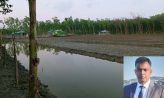 হাতিয়ায় রেঞ্জ কর্মকর্তার মিজানের বিরুদ্ধে দুর্নীতির অভিযোগ