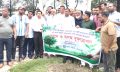 নোয়াখালী জেলা পরিষদের উদ্যোগে বৃক্ষরোপণ কর্মসূচির উদ্বোধন