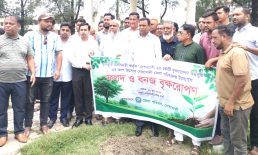 নোয়াখালী জেলা পরিষদের উদ্যোগে বৃক্ষরোপণ কর্মসূচির উদ্বোধন