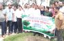নোয়াখালী জেলা পরিষদের উদ্যোগে বৃক্ষরোপণ কর্মসূচির উদ্বোধন