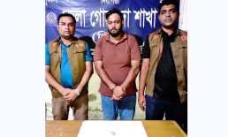 ডিবি পুলিশের অভিযানে ইয়াবাসহ অস্ত্র ও মাদক মামলার আসামি গ্রেপ্তার