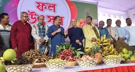 ফল উৎসবের সংস্কৃতি তৃণমূল পর্যায়ে ছড়িয়ে দেওয়ার আহ্বান তথ্যমন্ত্রীর
