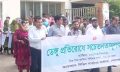 মাইজদীতে ডেঙ্গু প্রতিরোধে সচেতনতামূলক র‌্যালি, পরিচ্ছন্নতা অভিযানের আহ্বান