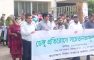 মাইজদীতে ডেঙ্গু প্রতিরোধে সচেতনতামূলক র‌্যালি, পরিচ্ছন্নতা অভিযানের আহ্বান