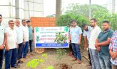 নোয়াখালী পৌরসভার বৃক্ষরোপণ কর্মসূচির উদ্বোধন