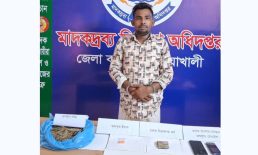 বেগমগঞ্জে বিপুল পরিমাণ গাঁজা ও ইয়াবাসহ মাদক কারবারি গ্রেফতার