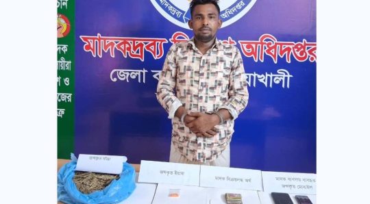 বেগমগঞ্জে বিপুল পরিমাণ গাঁজা ও ইয়াবাসহ মাদক কারবারি গ্রেফতার