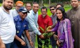 কোম্পানীগঞ্জে প্রধানমন্ত্রী ঘোষিত ২৫ কোটি বৃক্ষরোপন কর্মসূচীর শুভ উদ্বোধন