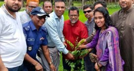 কোম্পানীগঞ্জে প্রধানমন্ত্রী ঘোষিত ২৫ কোটি বৃক্ষরোপন কর্মসূচীর শুভ উদ্বোধন