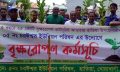 চরঈশ্বর ইউনিয়নে বৃক্ষরোপন কর্মসূচী পালিত