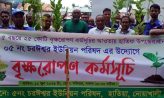 চরঈশ্বর ইউনিয়নে বৃক্ষরোপন কর্মসূচী পালিত