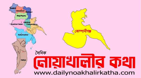 কোম্পানীগঞ্জে পুলিশের ওপর হামলা, ওসিসহ আহত ৫