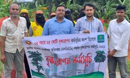 দাগনভূঞা এলজিইডির বৃক্ষরোপণ কর্মসূচি