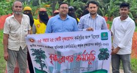 দাগনভূঞা এলজিইডির বৃক্ষরোপণ কর্মসূচি