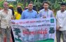 দাগনভূঞা এলজিইডির বৃক্ষরোপণ কর্মসূচি