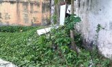 ১৪৪ ধারার মধ্যেই বেড়া ভাঙচুর, তদন্তে পুলিশ