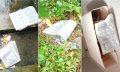 হাতিয়ায় আলিম পরীক্ষাকেন্দ্রে নকল, সচিবের বিরুদ্ধে অভিযোগ