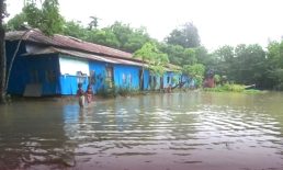 হাতিয়ায় বন্যা ৮০ গ্রামে প্লাবিত