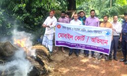 দাগনভূঞায় মৎস্য আইন বাস্তবায়নে মোবাইল কোর্ট: ২ হাজার মিটার জাল আগুনে পুড়িয়ে ধ্বংস