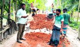 লক্ষ্মীপুরে যুবদল নেতা মহসিন সরকার উদ্যোগে মাটির রাস্তা সংস্কার