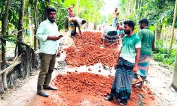লক্ষ্মীপুরে যুবদল নেতা মহসিন সরকার উদ্যোগে মাটির রাস্তা সংস্কার