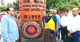 লক্ষ্মীপুরে জুলাই শহীদ দিবস উদযাপন
