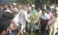 সেনবাগে জাফ ফাউন্ডেশনের বৃক্ষরোপণ কর্মসূচির উদ্বোধন
