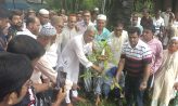 সেনবাগে জাফ ফাউন্ডেশনের বৃক্ষরোপণ কর্মসূচির উদ্বোধন