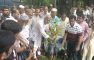 সেনবাগে জাফ ফাউন্ডেশনের বৃক্ষরোপণ কর্মসূচির উদ্বোধন
