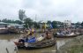 ভরা মৌসুমে নদীতে ইলিশের তীব্র সংকট দিশেহারা জেলেরা
