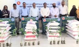 দাগনভূঞায় মৎস্য চাষের উপকরণ বিতরণ