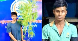ডিএনসির অভিযানে গাঁজা গাছ, ইয়াবা ও পিস্তল সদৃশ বস্তু উদ্ধার, আটক ১