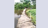 মাইজদী মুসলিম কলোনিতে ঝুঁকিপূর্ণ কাঠের সাঁকো, দুর্ভোগে শত শত মানুষ