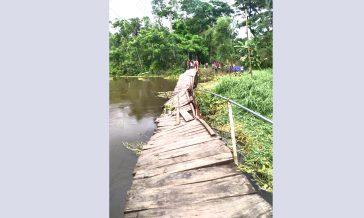 মাইজদী মুসলিম কলোনিতে ঝুঁকিপূর্ণ কাঠের সাঁকো, দুর্ভোগে শত শত মানুষ