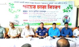 সেনবাগ প্রবাসী কল্যাণ সংস্থার উদ্যোগে বৃক্ষরোপণ কর্মসূচি
