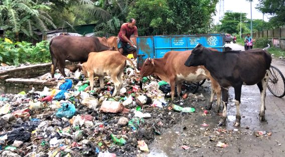 শহরে বর্জ্য ব্যবস্থাপনায় সংকট, দুর্গন্ধে ভোগান্তি