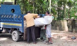 দাফনের ৬৬ দিন পর কবর থেকে গৃহবধূর মরদেহ উত্তোলন