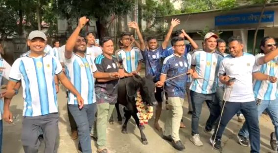 ঢাকা কলেজে আর্জেন্টিনা সমর্থকদের ‘মেগা গরু ভোজ’