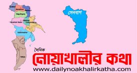 সেনবাগে বাসা ভাড়া না দেওয়ায় বিধবার বাড়িতে হামলা-ভাঙচুর