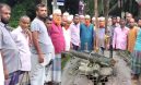৪০ বছরের পুরোনো ব্রিজ ভেঙে দুর্ভোগে লাখো মানুষ