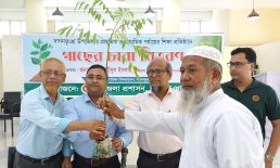 দাগনভূঞায় দুই শতাধিক শিক্ষা প্রতিষ্ঠানে গাছের চারা বিতরণ শুরু