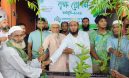 বেগমগঞ্জে জামায়াতে ইসলামীর বৃক্ষরোপণ ও চারা বিতরণ কর্মসূচি