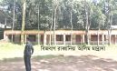 সেনবাগে দাখিল ফলাফলে শীর্ষে বিজবাগ রাব্বানিয়া আলিম মাদ্রাসা