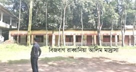 সেনবাগে দাখিল ফলাফলে শীর্ষে বিজবাগ রাব্বানিয়া আলিম মাদ্রাসা